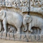 The Symbolism of the Elephant