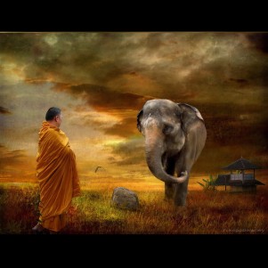 a monk and an elephant