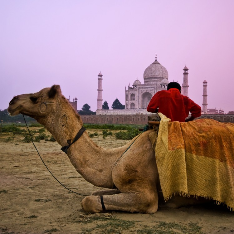 A Traditional Tale of India