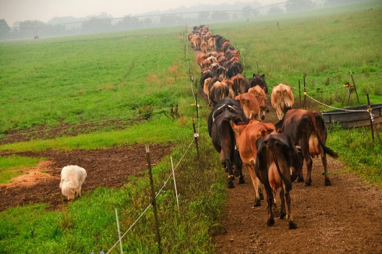FARMAGEDDON