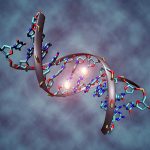 Epigenetics, the science of change