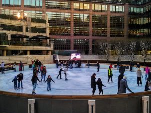 The Ice Rink New Acropolis Library