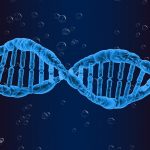 Epigenetics: Taking Responsibility for our Lives