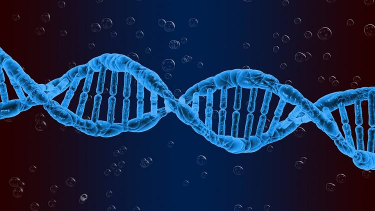 Epigenetics: Taking Responsibility for our Lives
