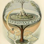 Plant Lore – A Brief Insight Into the Mythology and Symbology of Plants