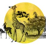 Unity in Diversity – Lessons from the Animal Kingdom