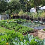 Towards Permanent Co-existence: Lessons from Permaculture