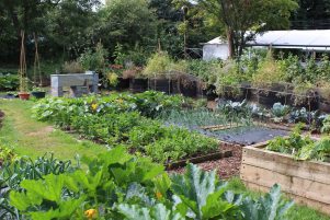 Towards Permanent Co-existence: Lessons from Permaculture