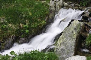 Viktor Schauberger and the Living Energies of Water