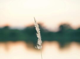 Some Thoughts on Humility